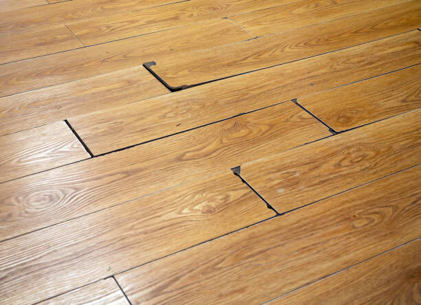 Tile and Grout Cleaning